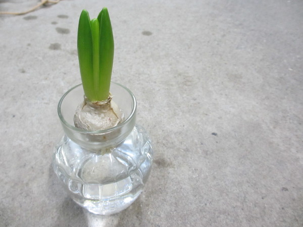 015.JPGのサムネイル画像