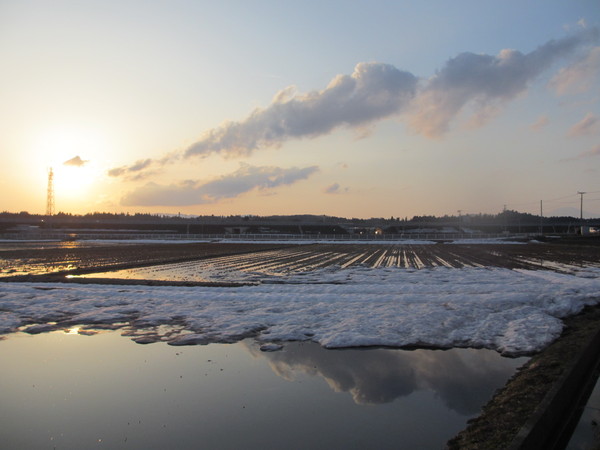 IMG_0436.JPGのサムネイル画像