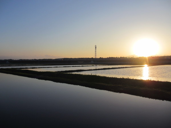 IMG_0535_1.JPGのサムネイル画像