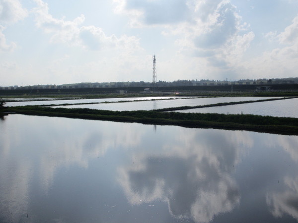 ta.jpgのサムネイル画像